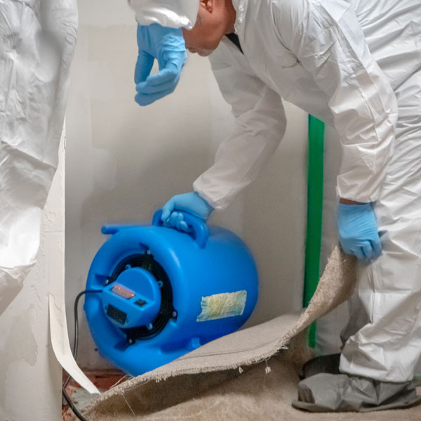technician placing fan to dry floor