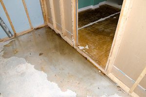 Water Damage Baton Rouge