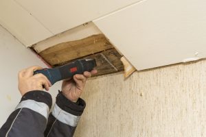 Mold Testing Baton Rouge