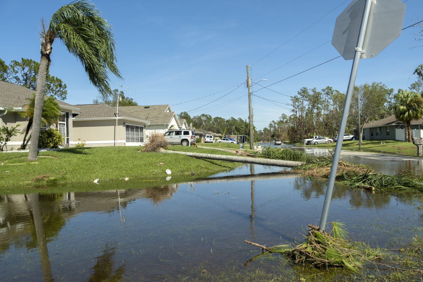 water damage baton rouge